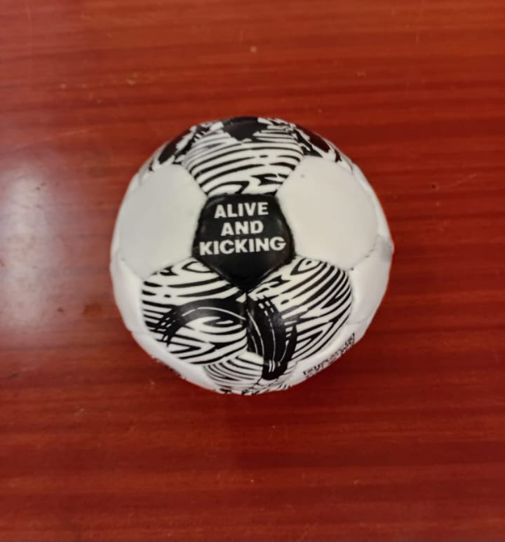 Animal Print Football - Size 1 